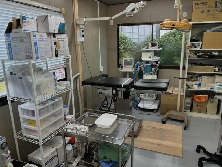 SALU大入動物診療所（診療所内）